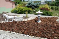 /album/zahradne-inspiracie-mdc5/dsc-0038-jpg/