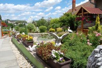 /album/zahradne-inspiracie-mdc5/dsc-0526-jpg/